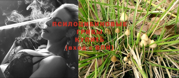 мдпв Горнозаводск