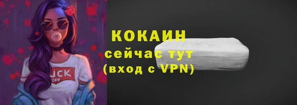 мдпв Горнозаводск