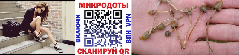 Галлюциногенные грибы GOLDEN TEACHER  MEGA как зайти  Яхрома 